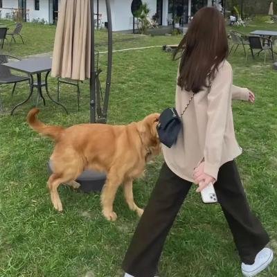 窄路微尘